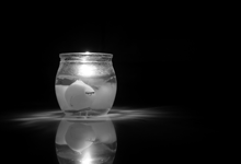 给生命最后的安详